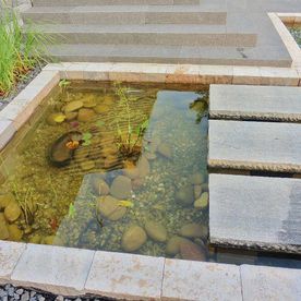 Naturpools oder Schwimmteiche